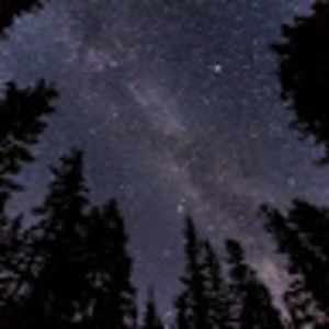 Meet your Posher, Sophia